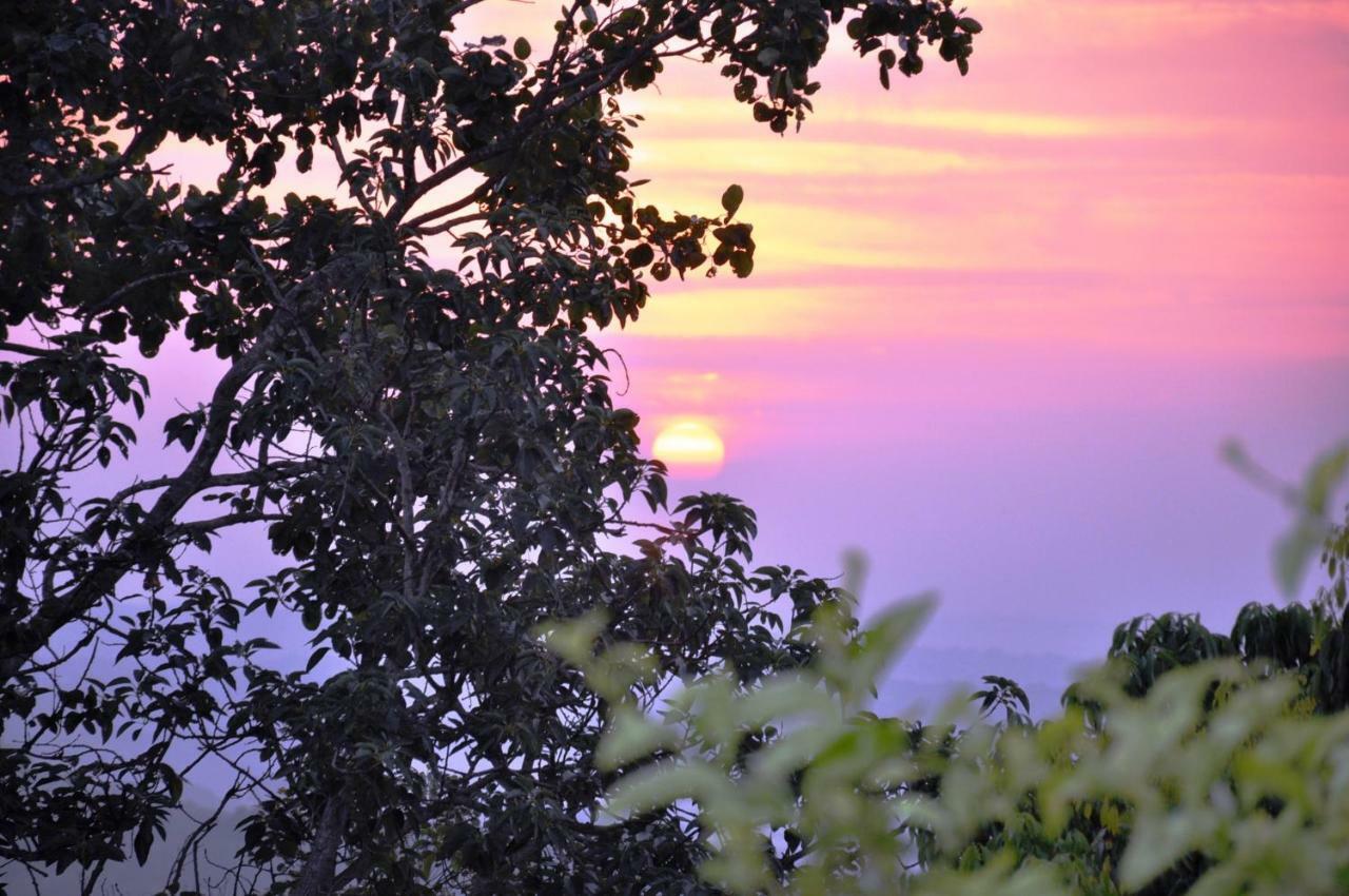 Viewpoint Lodge & Safari Tours Hazyview Ngoại thất bức ảnh